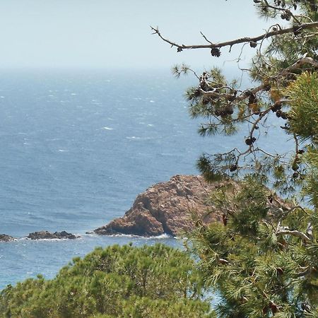 2 Bedroom Amazing Apartment In Tossa De Mar Bagian luar foto